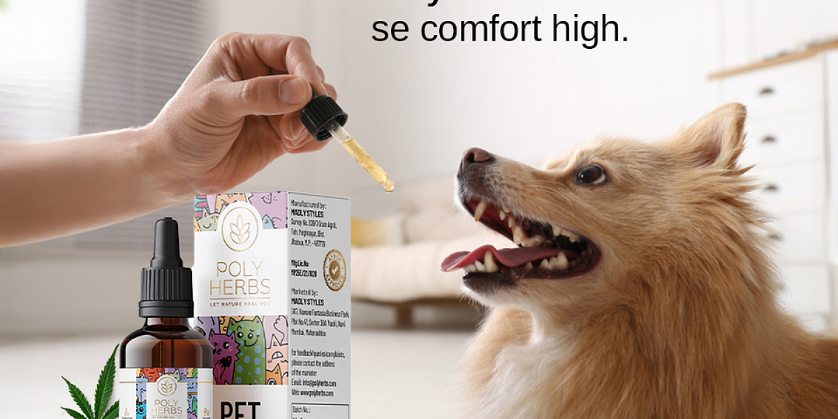 Holistic Care for Pets with CBD Oil for Dogs – Aarogya CBD