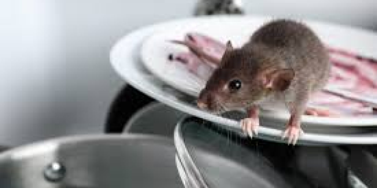 Rodent & Wildlife Control: Protecting Homes and Preserving Balance