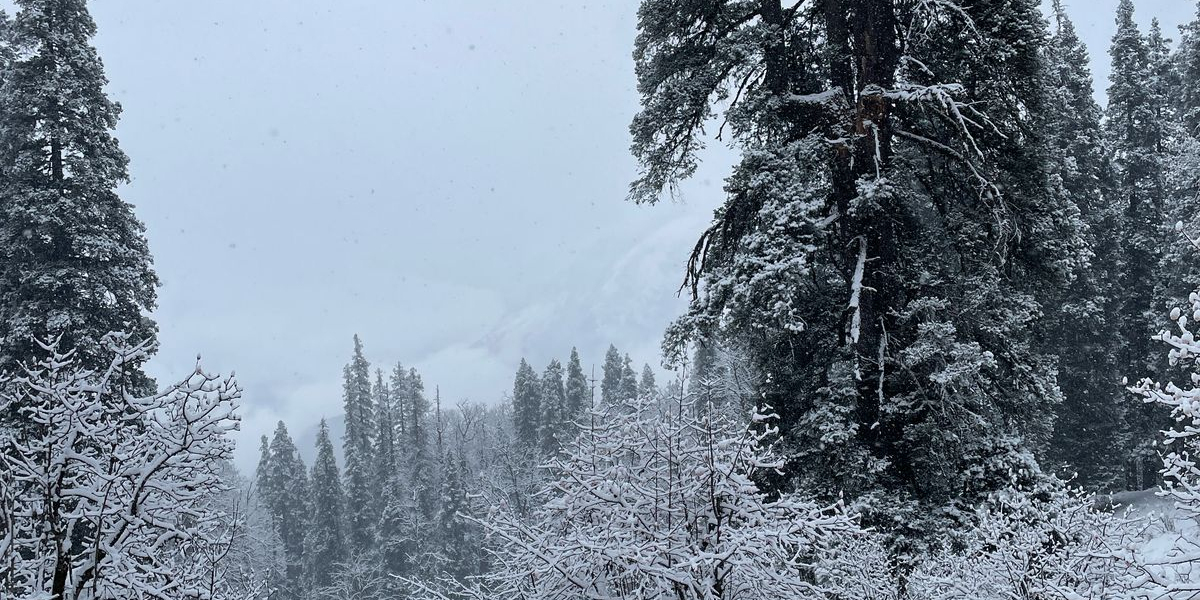 Kedarkantha Trek: A Winter Story Written in Snow via TrekYaari