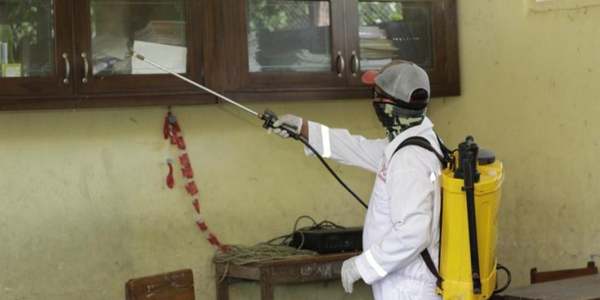 Protecting Broadway Homes from Pest Invasions: Practical Solutions That Work