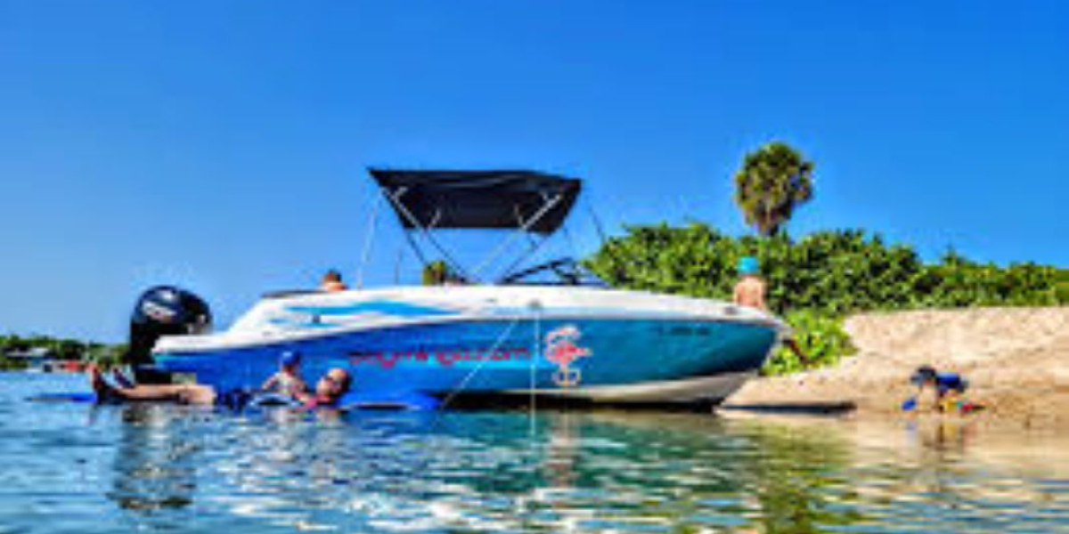 Haulover Sandbar: The Ultimate Guide to South Florida's Floating Playground
