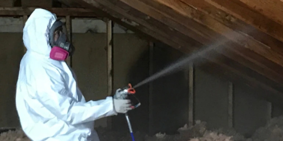 Mold Cleaning Service Louisville KY & Remediation Expert KY