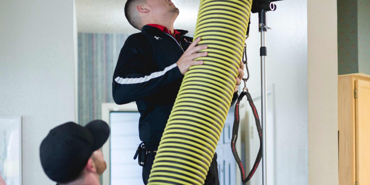 Reliable Garage Door Replacement New York & Dryer Vent Cleaning Houston Experts