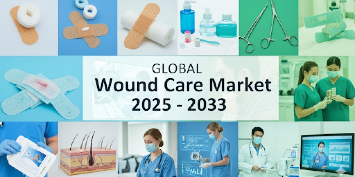 Wound Care Market: Analyzing Chronic Wounds & End-User Segment Growth, 2025-2033