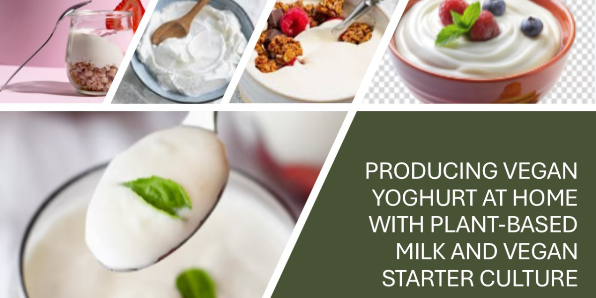 Shop Premium Starter Cultures in South Africa for Quality Fermentation