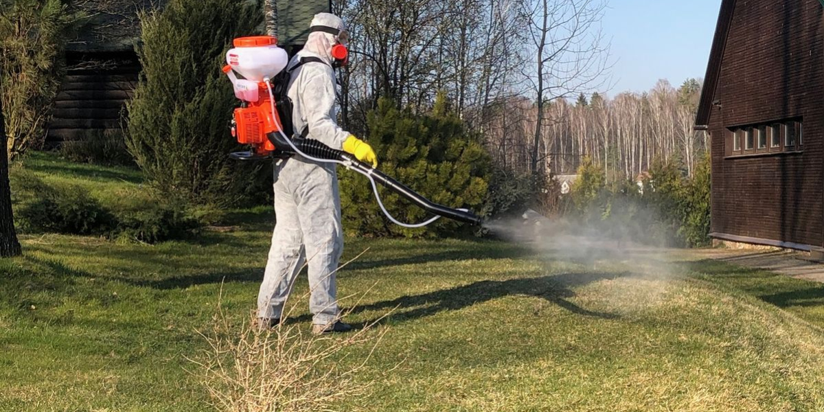 Keep Your Property Safe: Practical Choices for Pest-Fighting Products