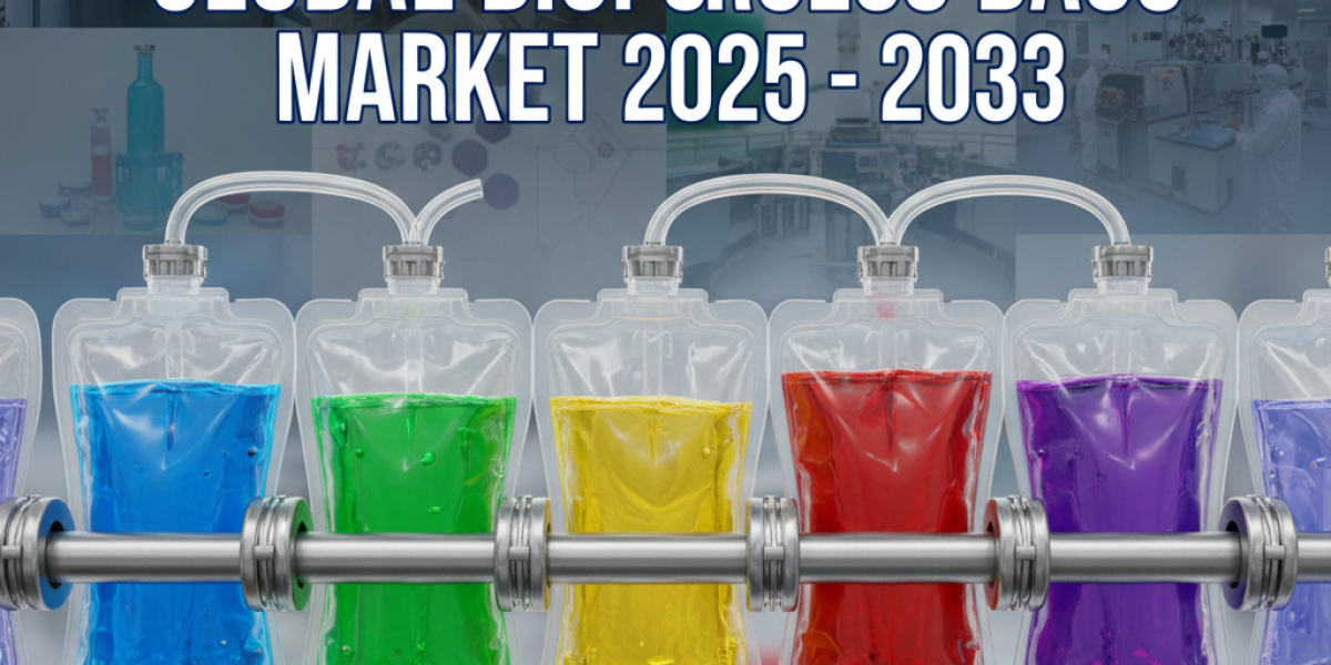 Global Bioprocess Bags Market Forecast 2025-2033: 2D, 3D, Workflow & End User