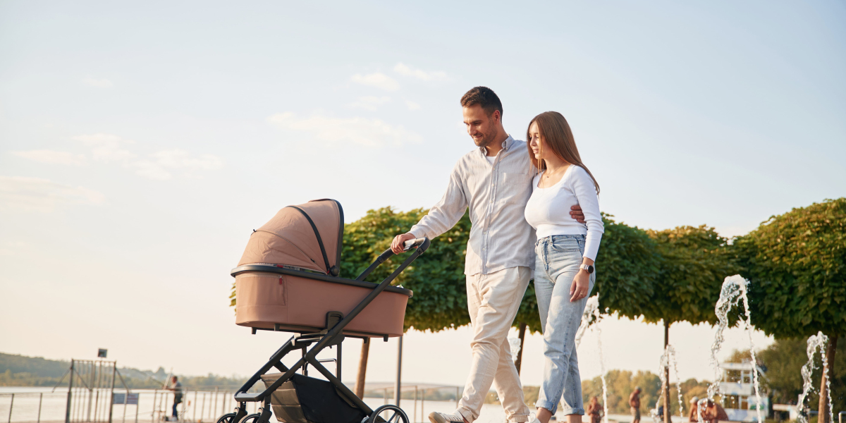 The Top Reasons Why People Succeed On The Pushchair And Pram Industry