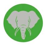 Elephant Trunk Moving Suppliers