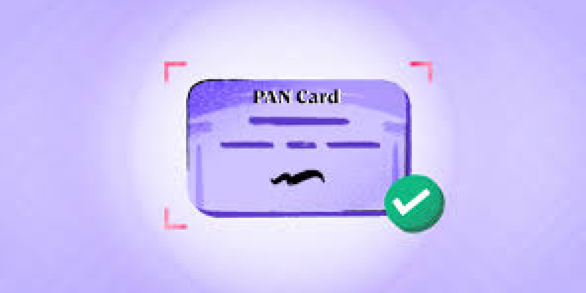 Can I Check PAN Card Details?