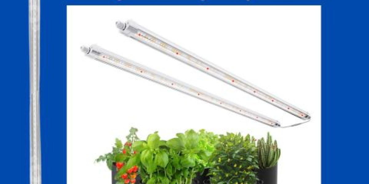 Boost Indoor Gardening Success with Advanced LED Grow Light Plants