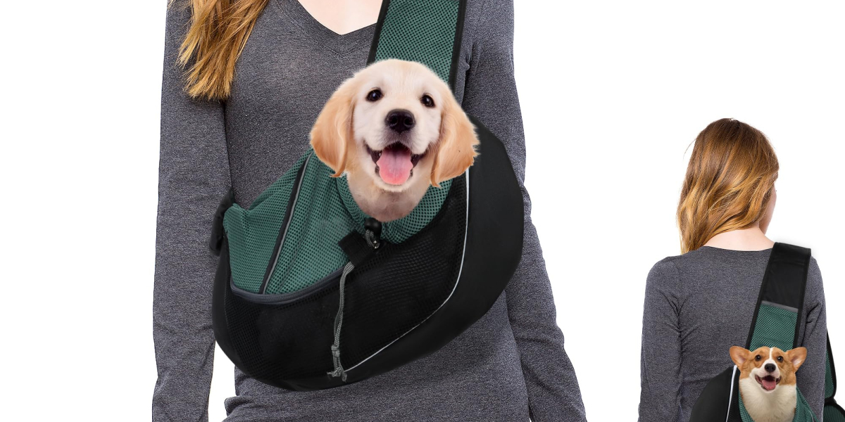 Hands-Free Adventures with Your Pet