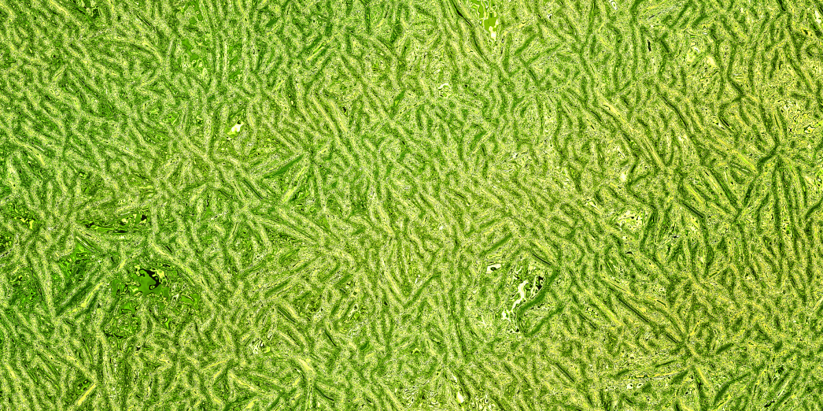 Elevating Journey: A Case Examine On LuxeJet Private Jet Charter Companies