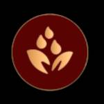 Accounting Services in UAE