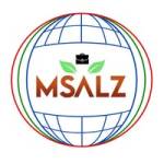 msalz salt
