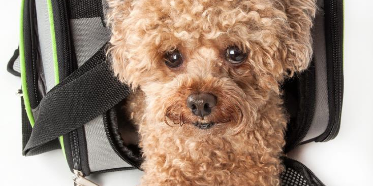 Why Every Pet Parent Needs a puppy pouch