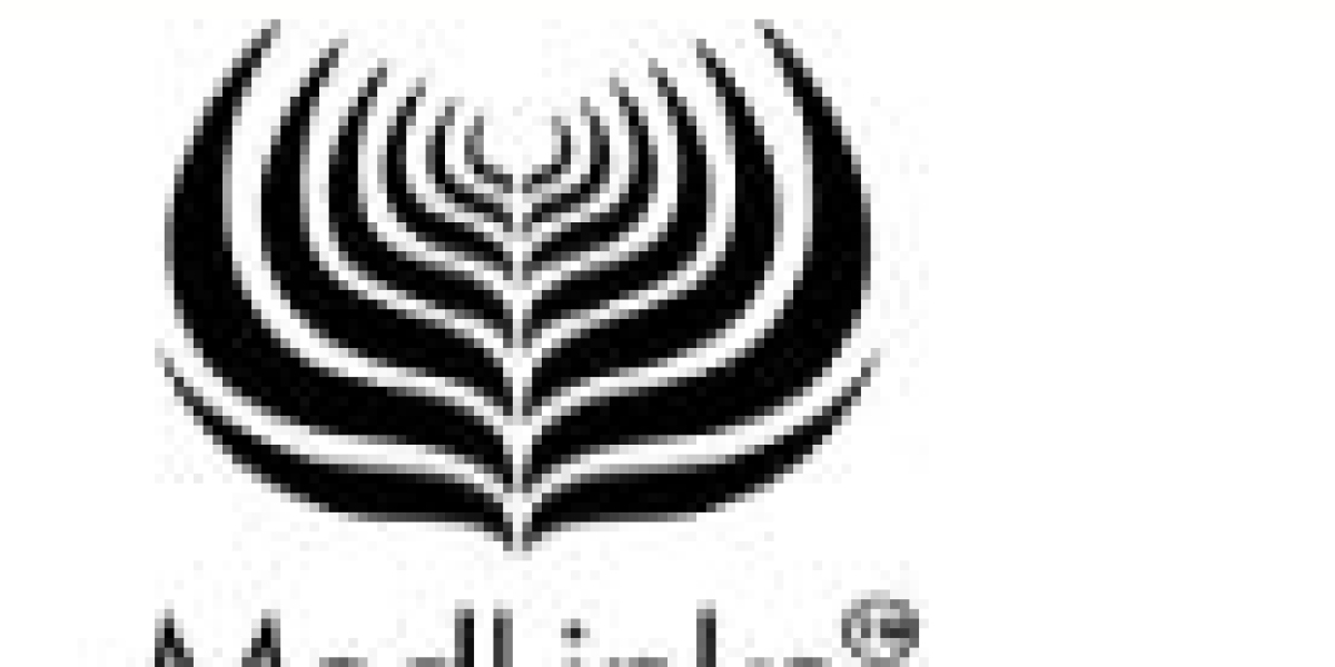 "Stage 3 Hair Loss Treatment  | Hair Transplant in Delhi"