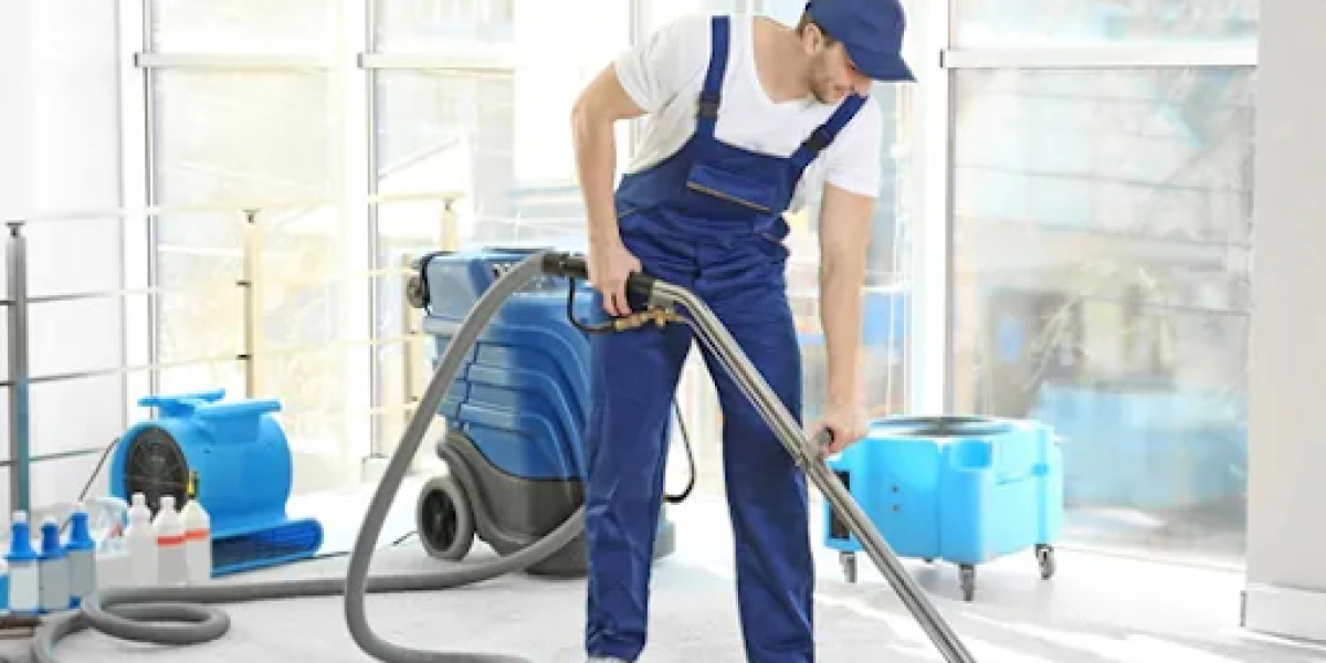 How Often Should You Get Carpet Cleaning Done?