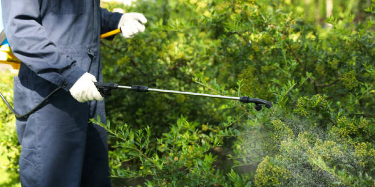Pest Treatment Services | Effective & Eco-Friendly Solutions