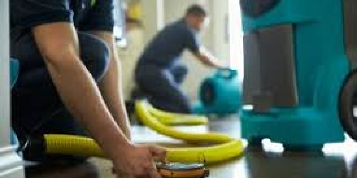 Mold Removal San Mateo: Professional Solutions for a Safe and Healthy Home