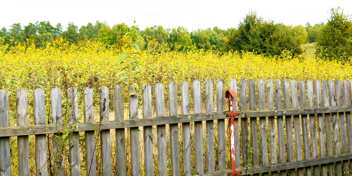 Gulf Breeze Fencing Companies | Compare the Best Services