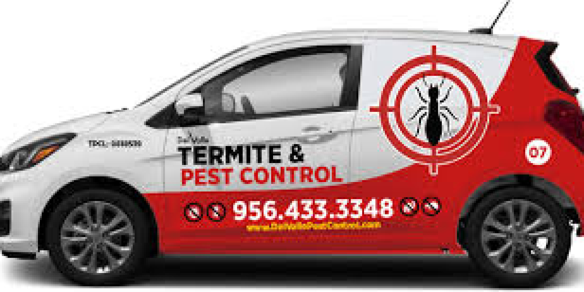 Exterminator McAllen, TX – Professional Pest Solutions for Your Home and Business