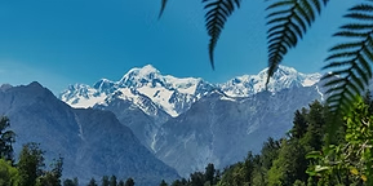 Quick and Simple Extension for Visitor Visa NZ with Immigration Experts