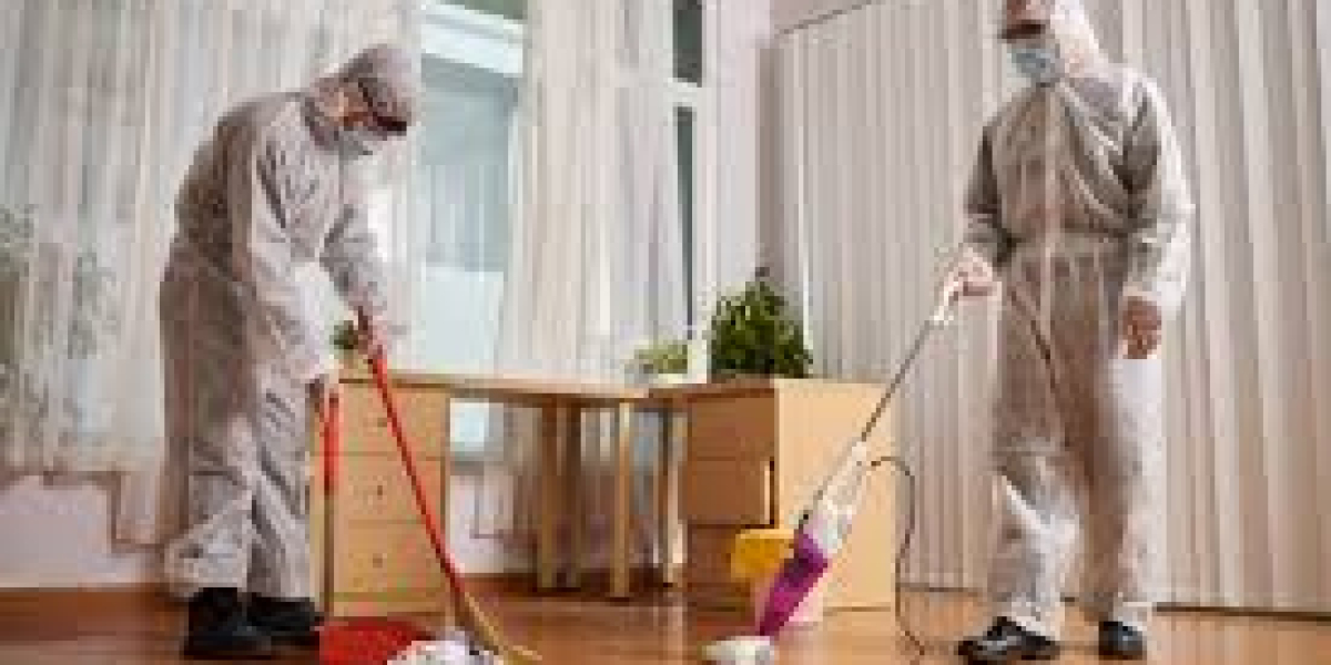 The Importance of Professional Hoarder Cleanup Services in Vancouver, Washington