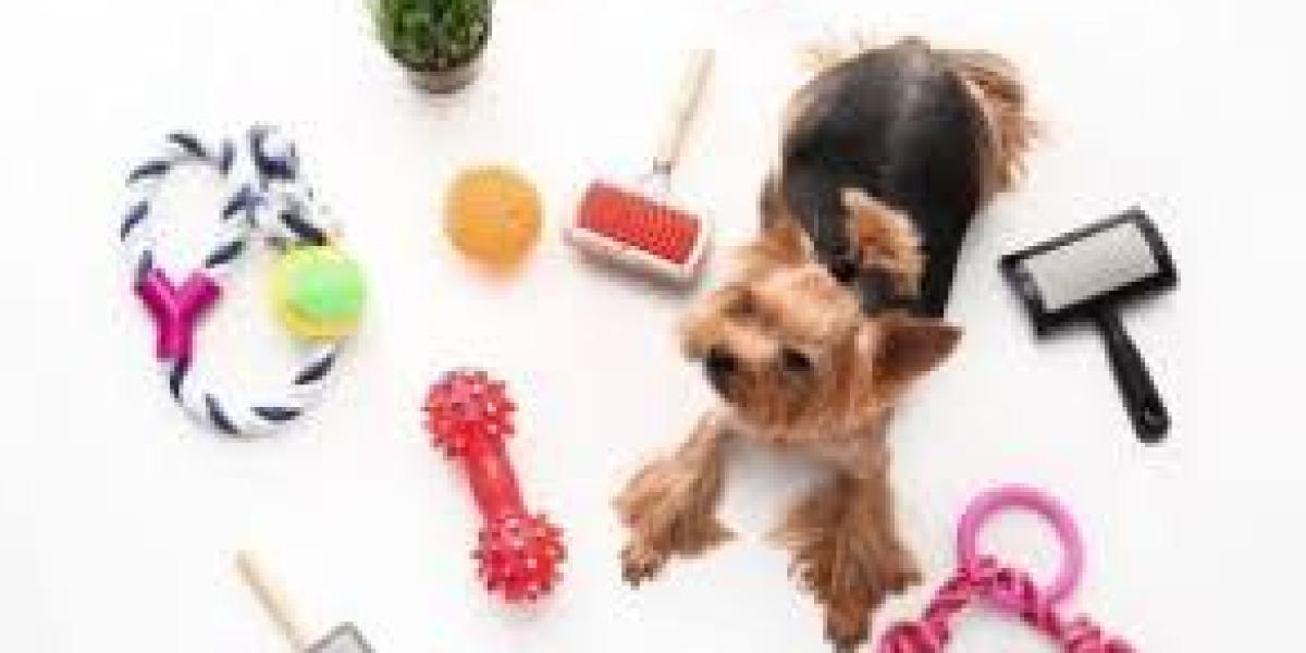 Best Dog Safety Accessories to Protect Your Pet in 2025