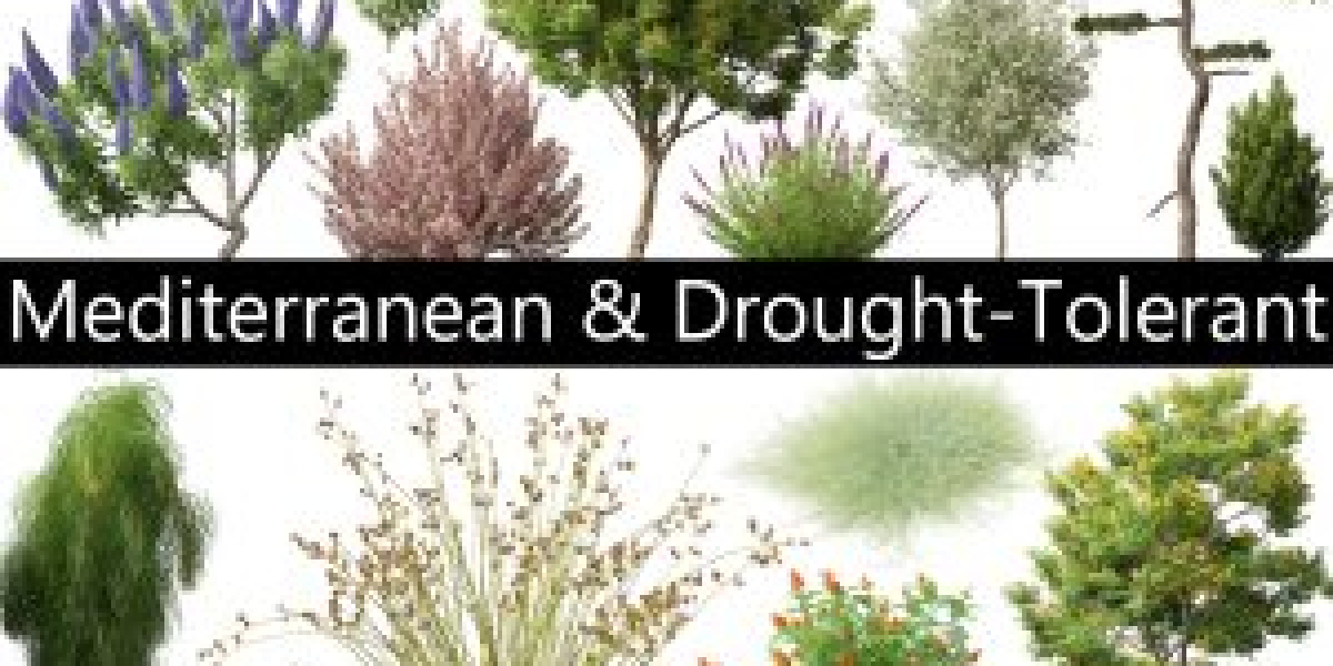 Enscape Plants Models for Rhino3D – Free Download Now