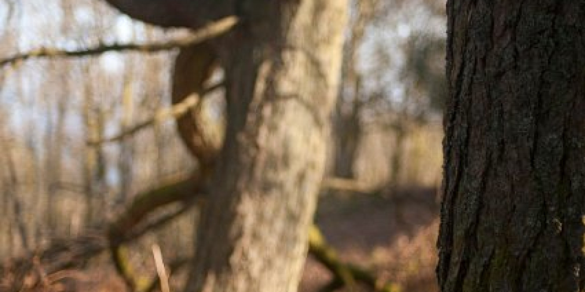 Genotropin® Wirkung, Nebenwirkungen, Dosierung