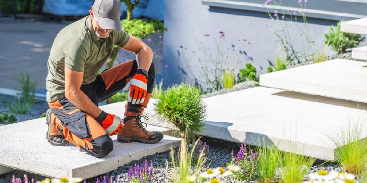 Comprehensive Guide to Xeriscape and Landscape Installation