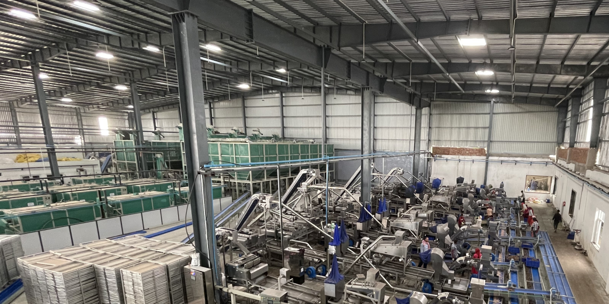 Essential Cashew Processing Machines for High-Volume Production