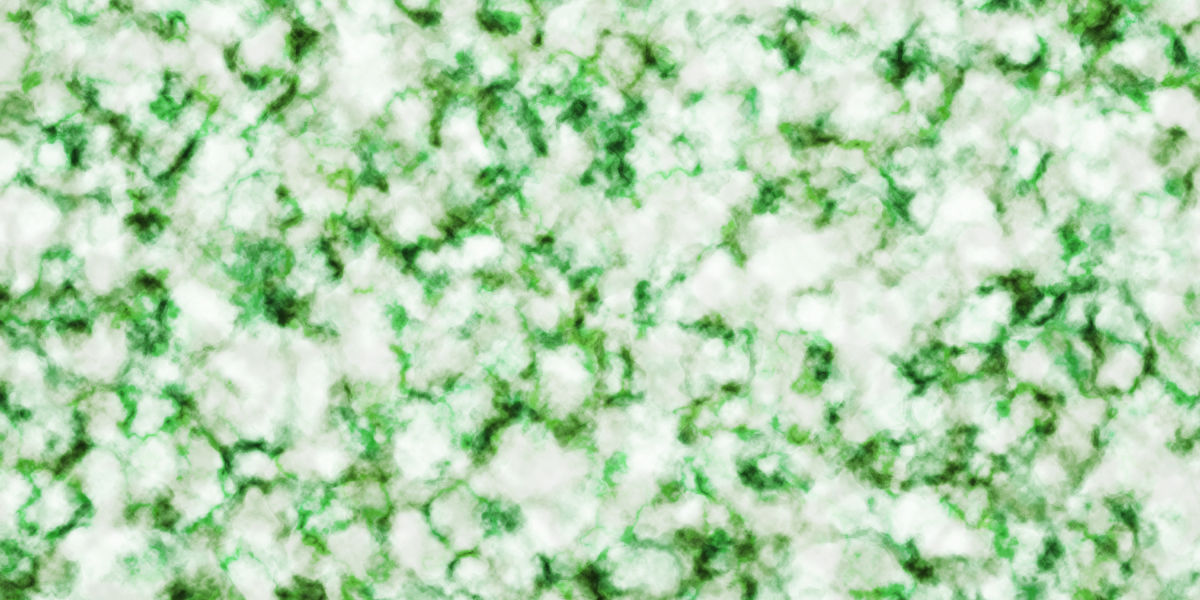 Buying Modafinil On-line In a Single Day: A Complete Guide