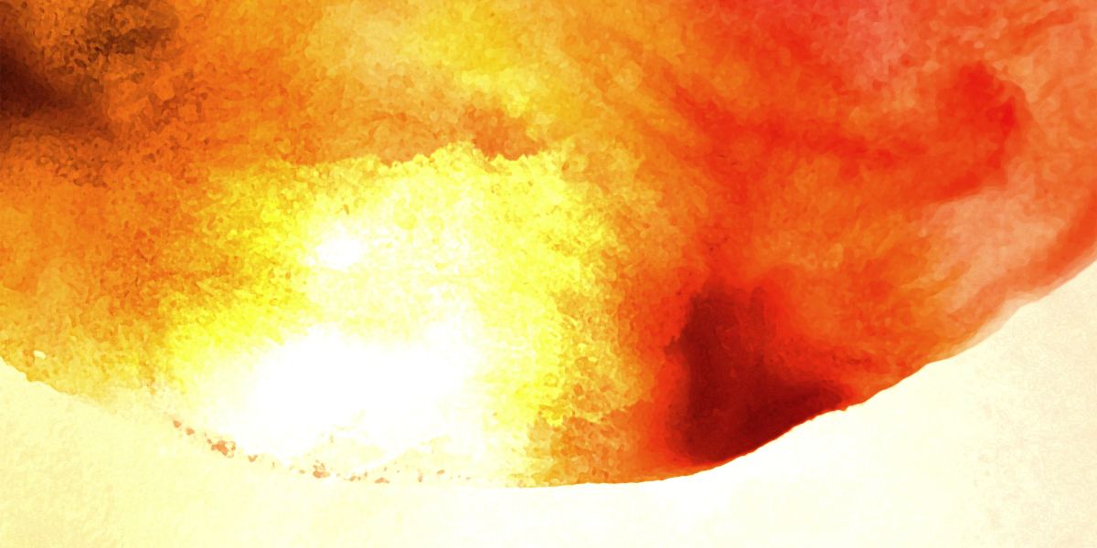 Transferring an IRA to Gold: A Complete Guide To Precious Metal Investments