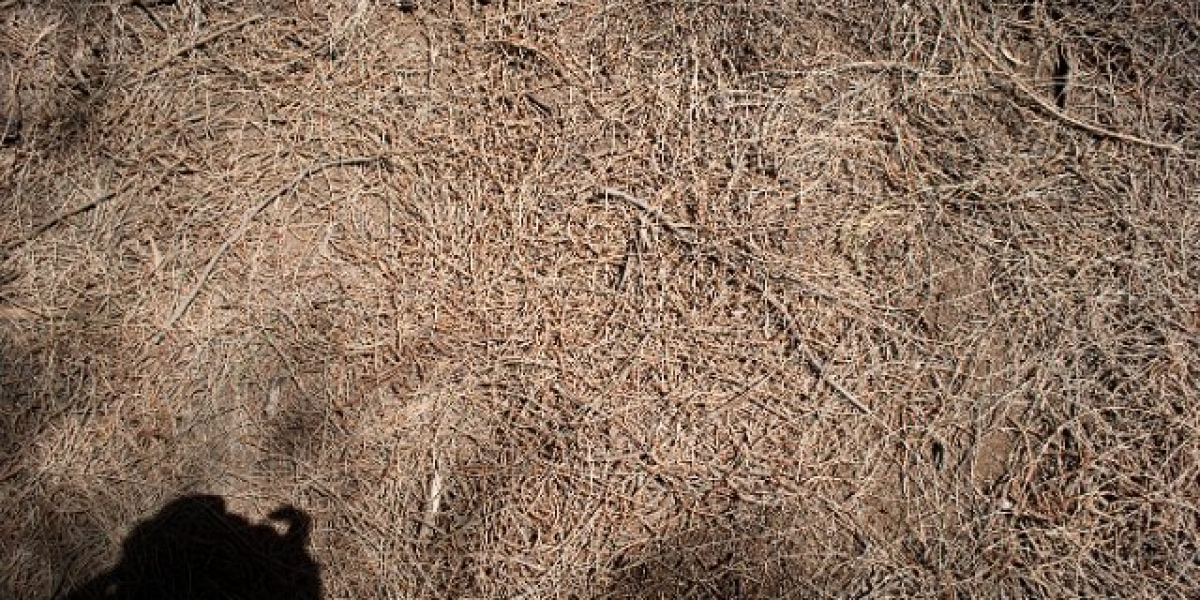 Huge Progressive Jackpots