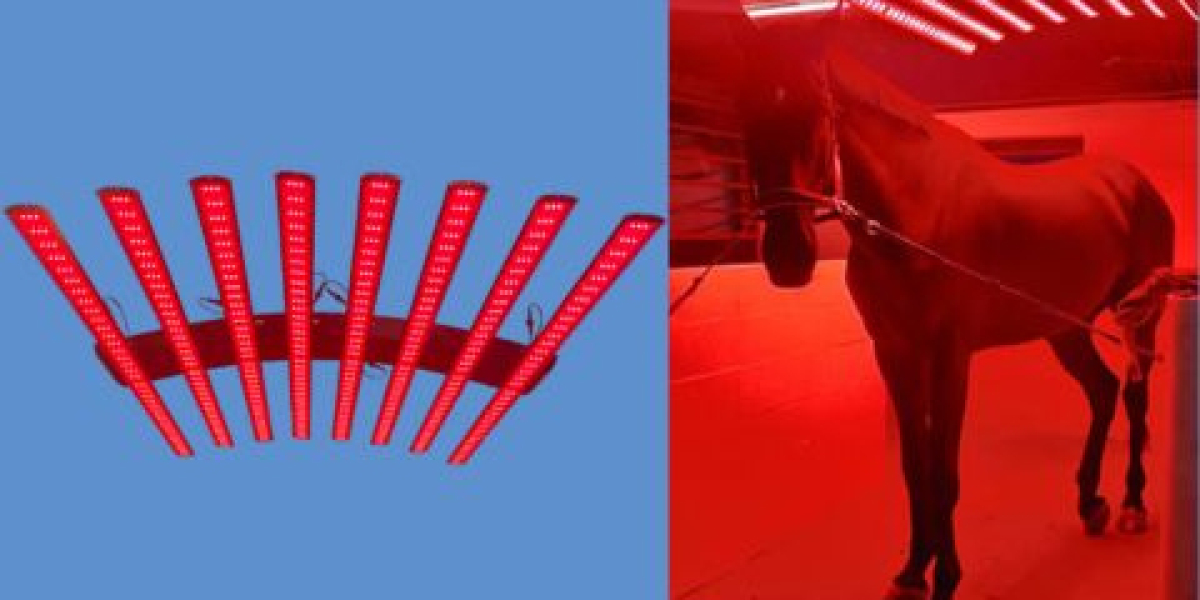 Enhance Equine Health with Advanced Equine Light Therapy