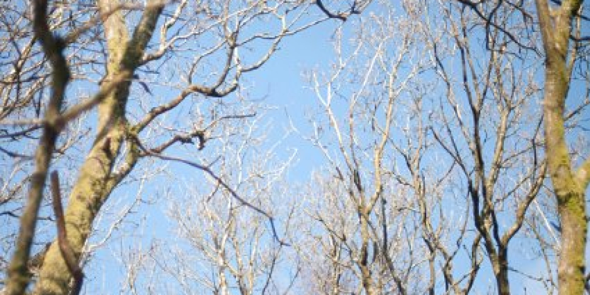 Meet the People Behind the Play