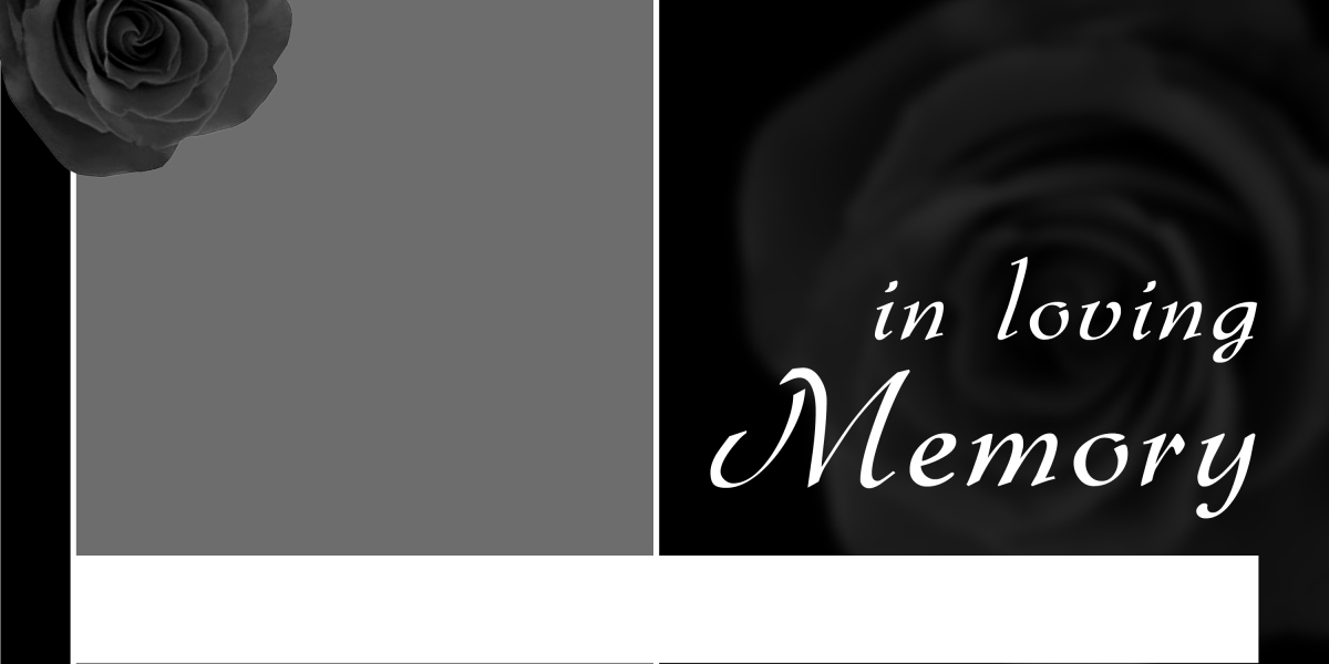 Gold IRA Company Ratings: A Complete Overview