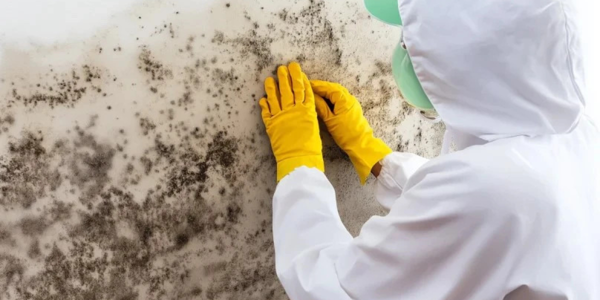 How to Remove Mold from Drywall and Prevent It from Coming Back