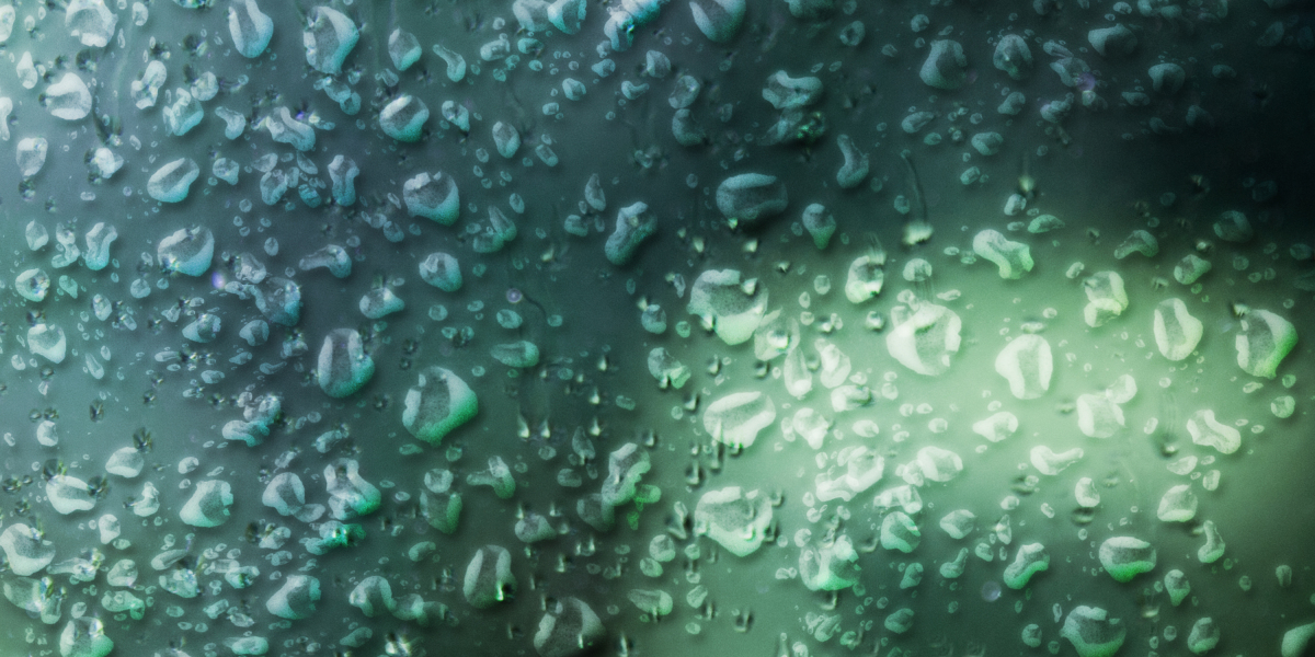 Exploring Verified Sugar Daddy Websites: A Information for Sugar Babies And Daddies