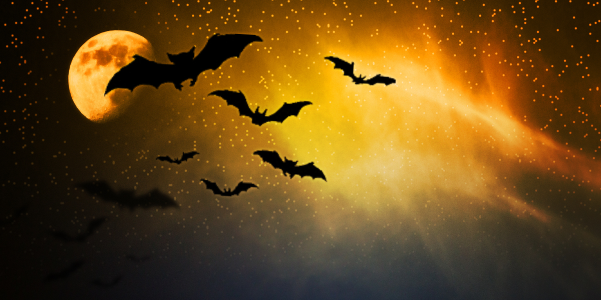 High 5 Private Jet Charter Companies: A Information To Luxurious Air Journey