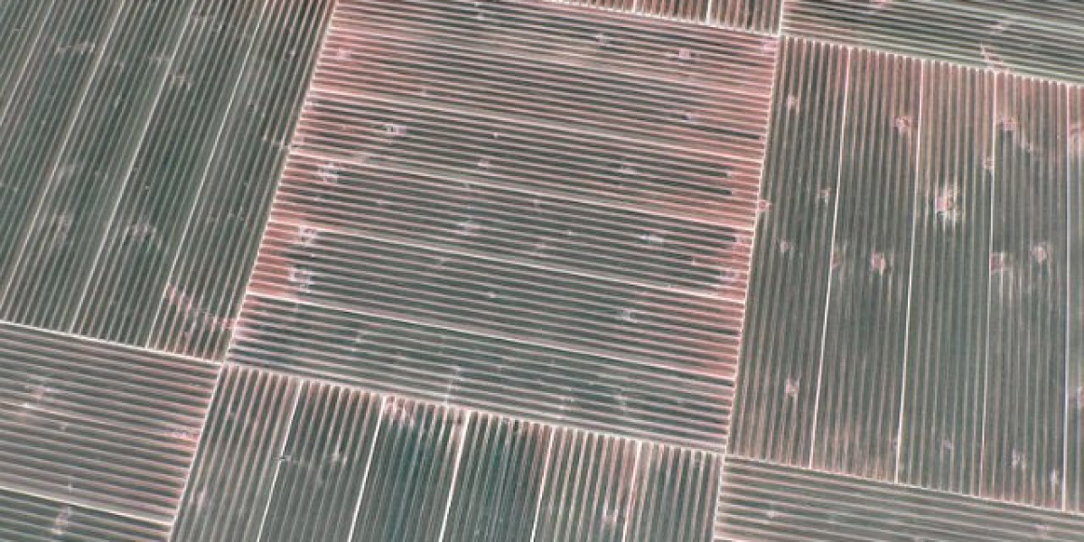 The History of the First Legal Casino in Australia