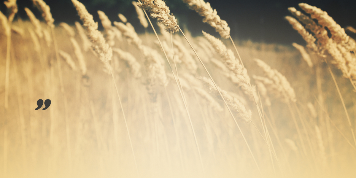 Understanding IRA Gold Custodians: A Comprehensive Guide