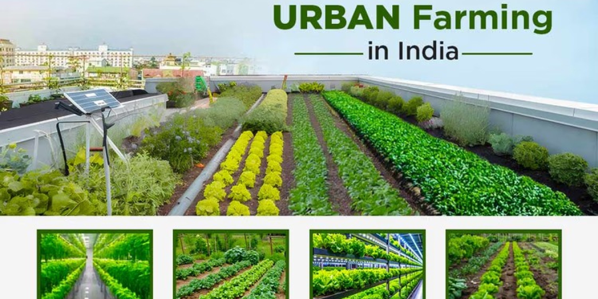 Understanding Different Techniques of Urban Farming
