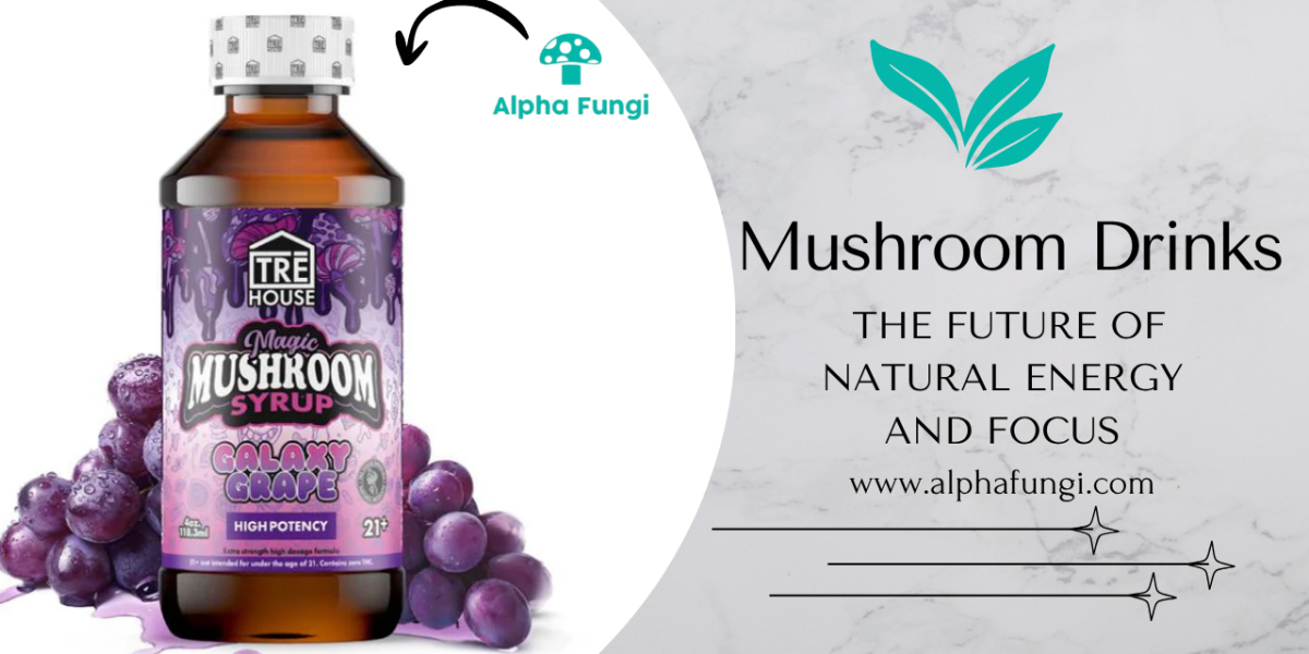 Mushroom Drinks – The Future of Natural Energy and Focus