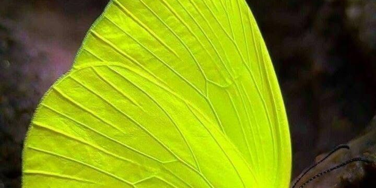 Stock Up Smartly: Choosing the Right Office Stationery Suppliers for Your Business