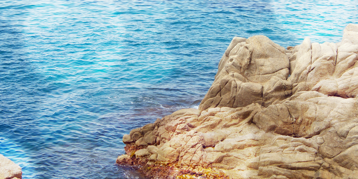 Exploring the Affordable Aspects Of Private Jet Travel: A Complete Observation