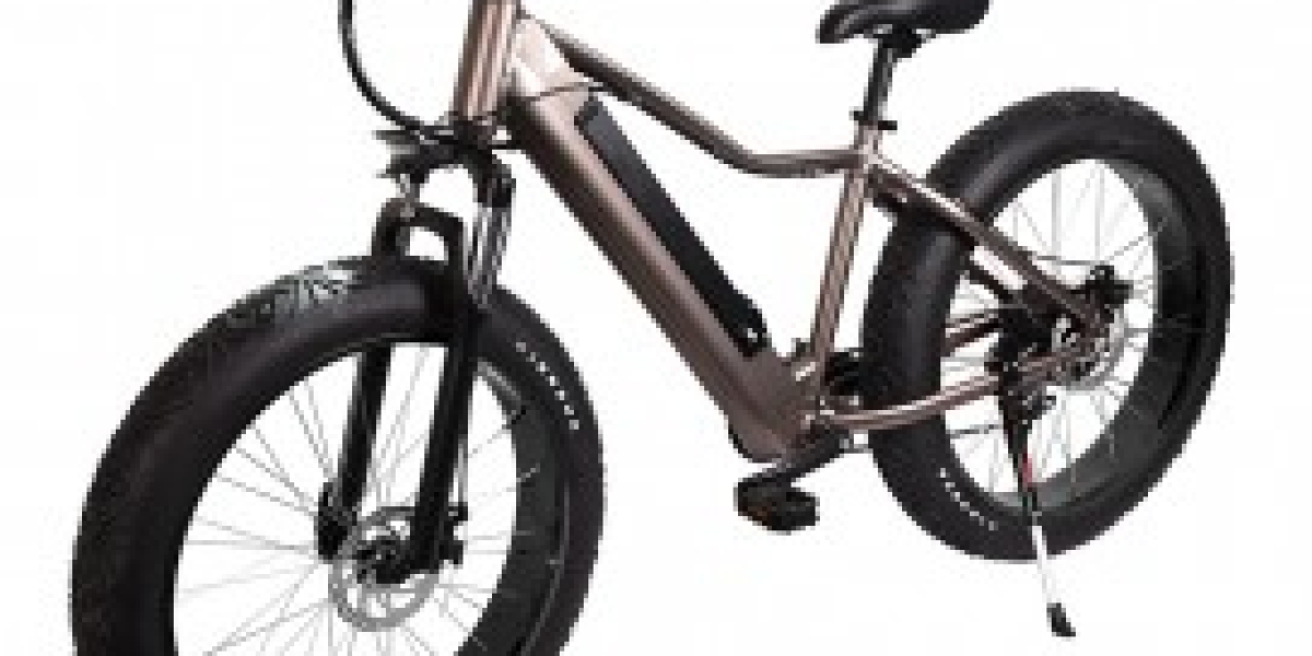 Fatbike E-Bike – Power, Spaß und Freiheit auf jedem Terrain