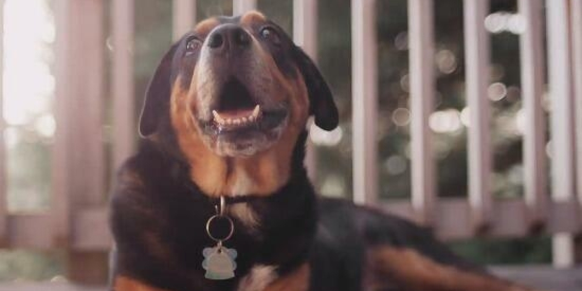 Leasehold Vs Fee Simple